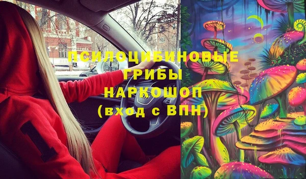 мдпв Костерёво
