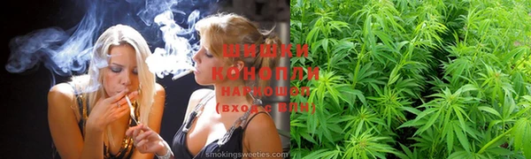 спиды Краснослободск