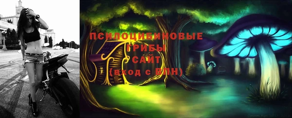 спиды Краснослободск